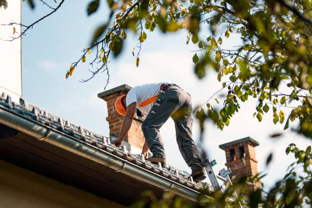 Best Roof Repair Services  in Warrensburg, IL