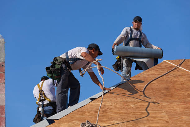Best New Roof Installation  in Warrensburg, IL