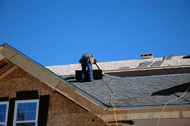 Best Roof Leak Repair  in Warrensburg, IL