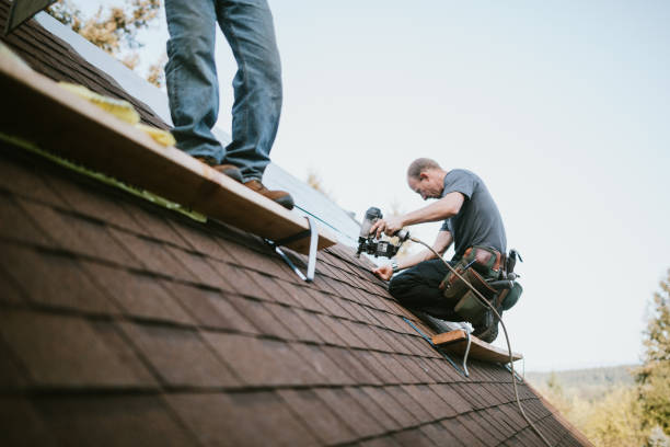Best Storm Damage Roof Repair  in Warrensburg, IL