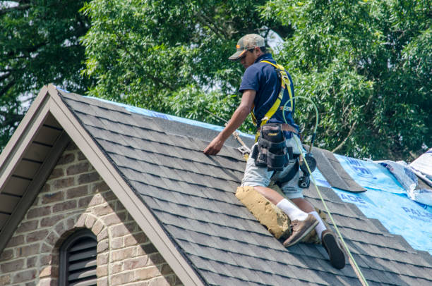 Best Roof Restoration Services  in Warrensburg, IL